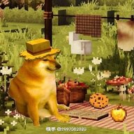 qwq5272988