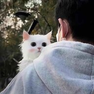 .....