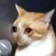 _(•̀ω•́ 」∠)_