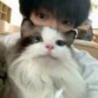 希琳