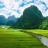 高孙新