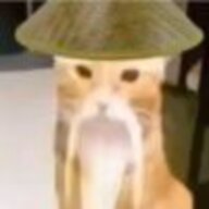 11121
