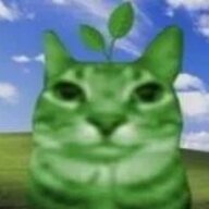 wzk