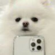 dsadsadsa