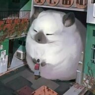 MS马赛