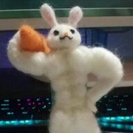 T1