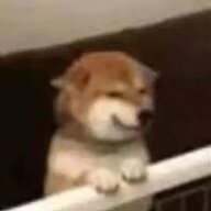 一杯奶茶