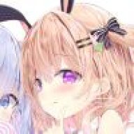 狸狸li