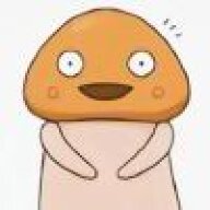 8848