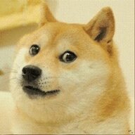 秋刀鱼