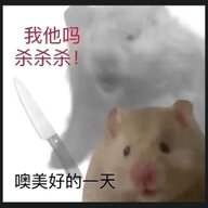 zhbsh