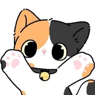 她他