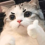 范斌