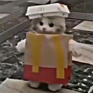 夹心