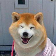 wangmingshuo