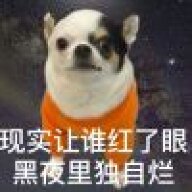 被窝哲学家