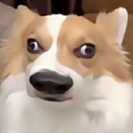 114516